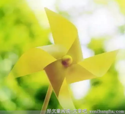 总有一天你会懂得那份情