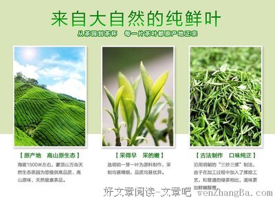 竹叶清茶