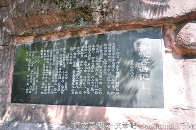 我的歌曲 我的泪