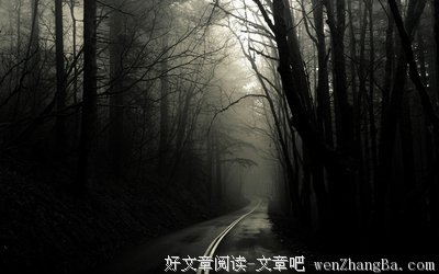 关于幽暗的格言