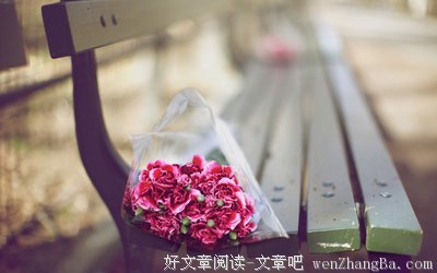 《与大神JQ的日子》经典语句