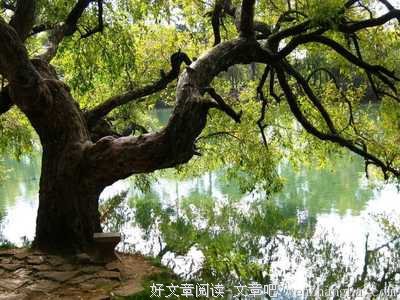 心乱的时候，想了很多，写了很多！
