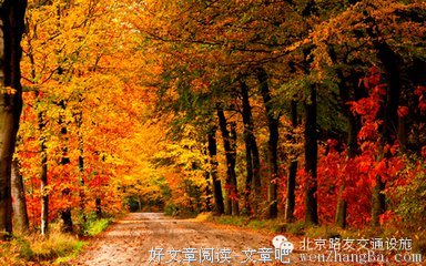 慢慢才知道，这些话，针针见血！