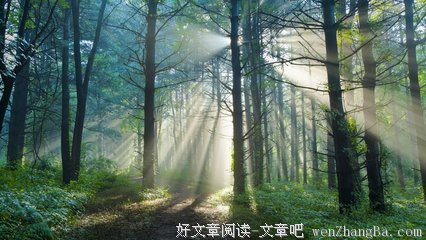 迷惘的句子