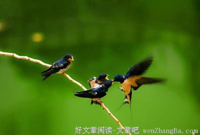 清醒的句子_关于清醒的句子