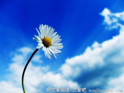 最经典的《杂志》经典的句子