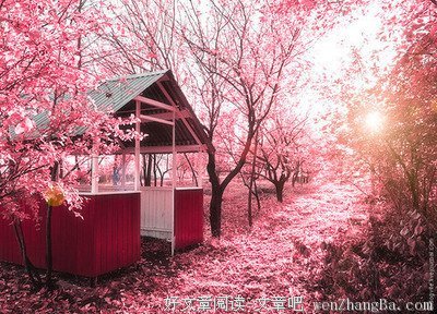 最全的旭总经典句子