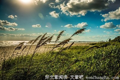 那些想忘记的,只有努力的学会顺其自然!