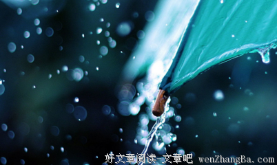 【随笔】又一个雨天