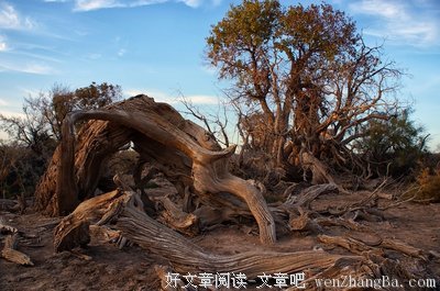 你一眼，我万年
