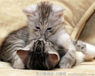 10条关于亲热的经典句子