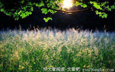 描写走弯路的经典句子