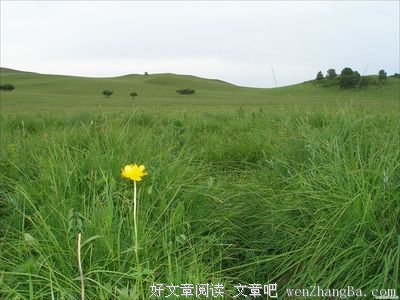 草原