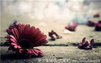 喜欢就去做，是对生命的一种成全