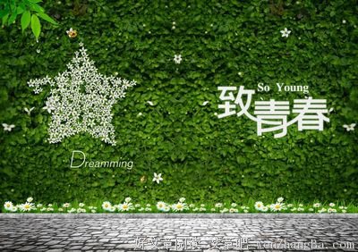 《碧甃沉》经典的句子