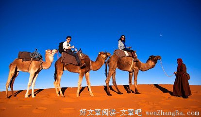 最经典的《国民老公带回家 偷吻55次》佳句摘抄大全