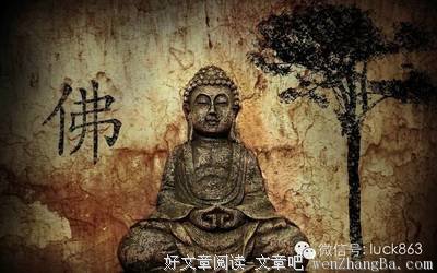 经典语录：情不为因果，缘注定生死