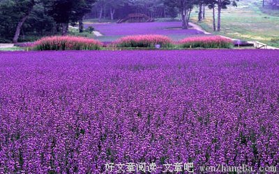 关于正式的句子