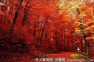 最经典的《活法》小说句子大全