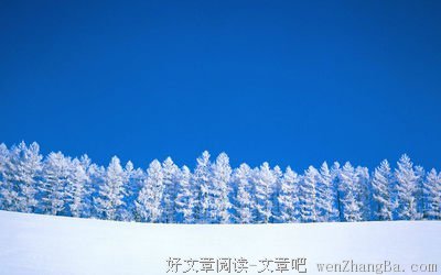 怎样的纯洁