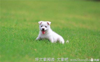 求求你再给我一次温柔