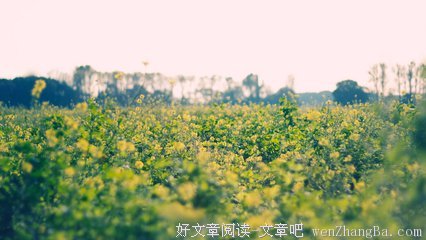 瞬息万变的句子