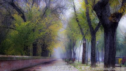 最经典的《你的怀抱是我生命的终点》好段摘抄