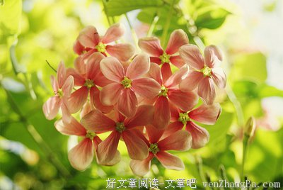 给力的句子