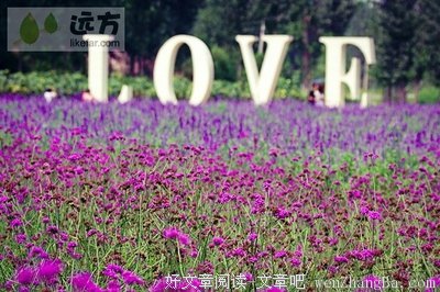 爱情有没有天长地久