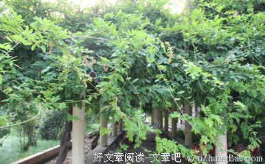 最后的母校
