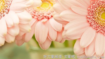 正确的名言_关于正确的名言