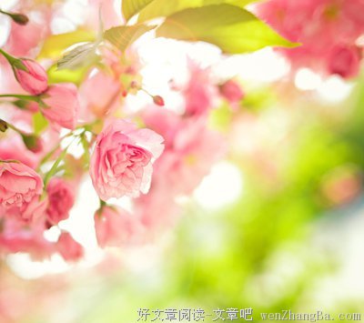 心安理得的句子_关于心安理得的句子