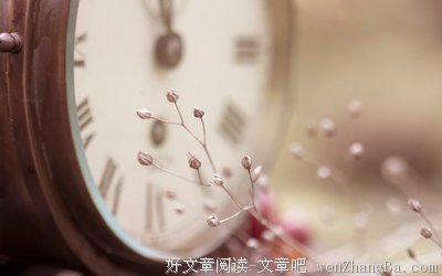 最经典的《岁月缝花》经典语录大全