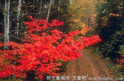 有关富兰克林的美文美句摘抄