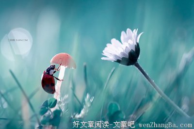 走弯路的名人名言