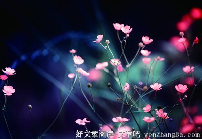 微不足道的名言_关于微不足道的名言