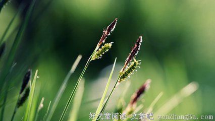 静谧的句子_关于静谧的句子