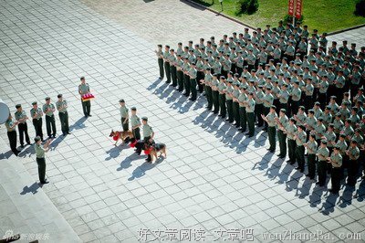 最全的《神犬奇兵》语录摘抄