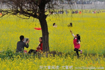 春天的故事