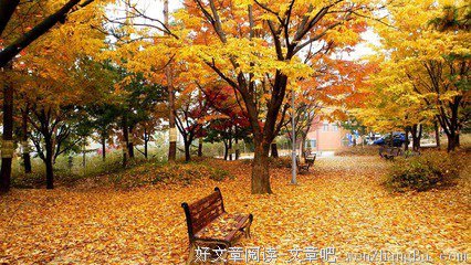 关于迷人的句子