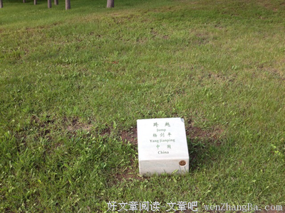 关于惊险的格言