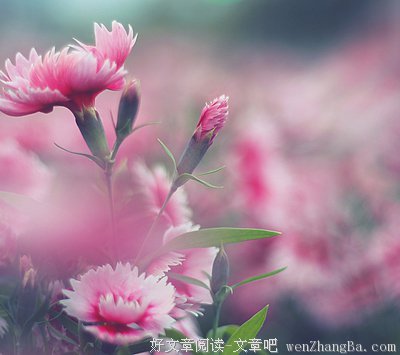 10条关于潇洒的经典句子