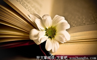 最全的《你若盛开，清风自来》经典名句大全