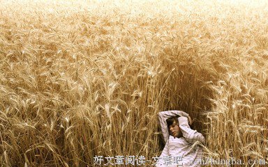 最新的《小小麦田》名句欣赏