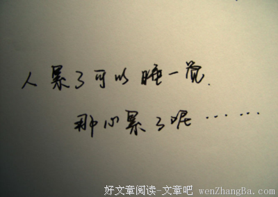 最新的大风刮过经典语录
