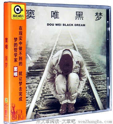 窦唯经典句子