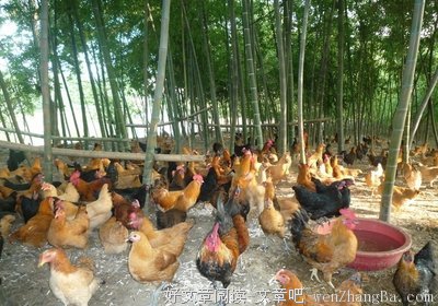 梦，代表了什么？