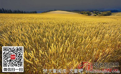 成熟