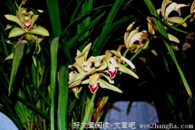 学会淡定