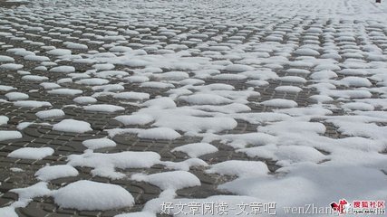 谁是谁的过客